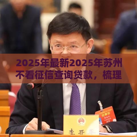2025年最新2025年苏州不看征信查询贷款，梳理五个十大贷款平台排名不分先后