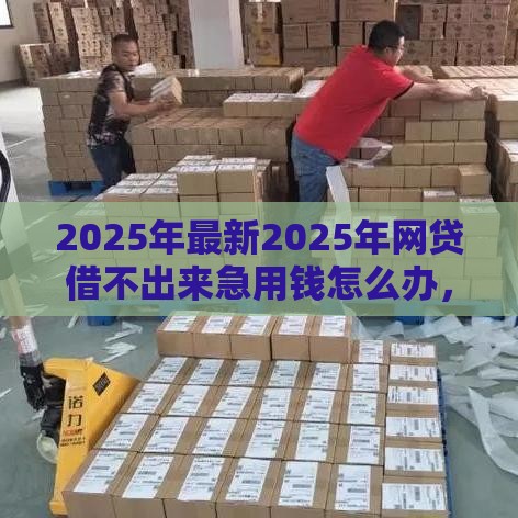 2025年最新2025年网贷借不出来急用钱怎么办，分享五个借五千块钱的秒下的贷款平台