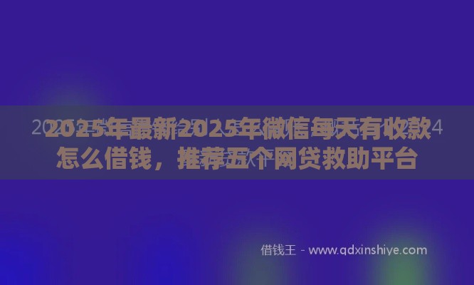 2025年最新2025年微信每天有收款怎么借钱，推荐五个网贷救助平台