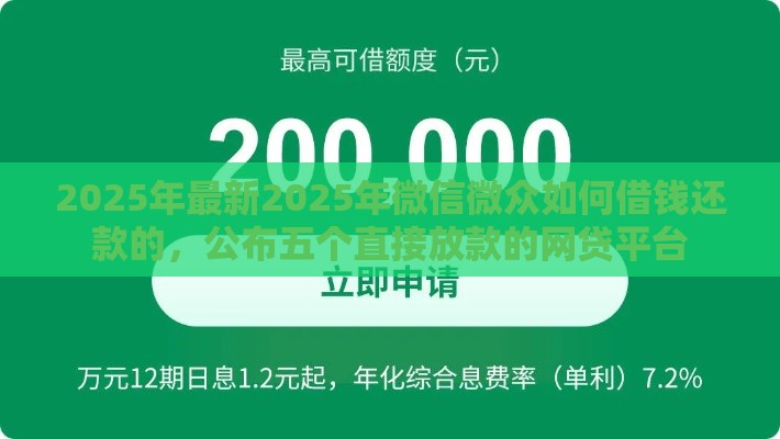 2025年最新2025年微信微众如何借钱还款的，公布五个直接放款的网贷平台