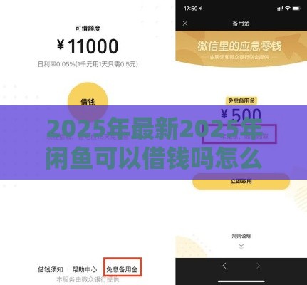 2025年最新2025年闲鱼可以借钱吗怎么借钱，公布5个微信有什么贷款平台