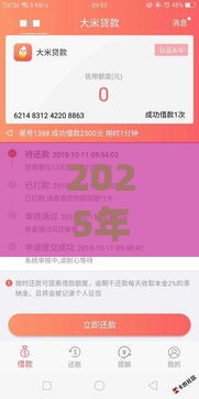 2025年最新2025年小额借款1000元马上放款18岁，整合5个黑户借款马上到账的口子