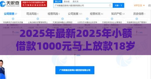 2025年最新2025年小额借款1000元马上放款18岁，整合5个黑户借款马上到账的口子