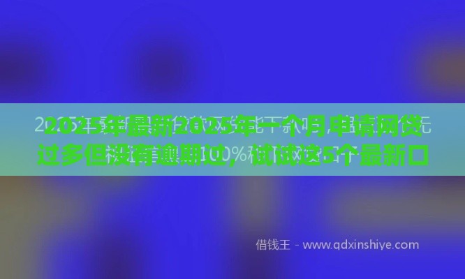 2025年最新2025年一个月申请网贷过多但没有逾期过，试试这5个最新口子无视黑白户网贷