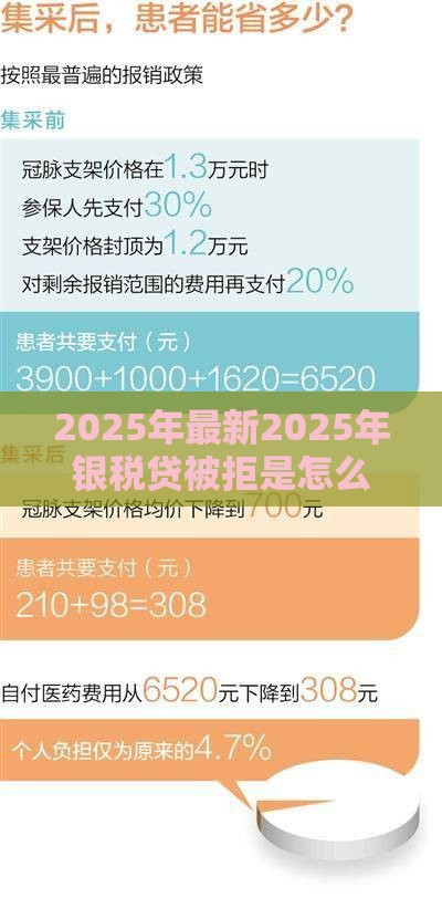 2025年最新2025年银税贷被拒是怎么回事，试试这5个分期贷款平台