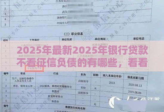 2025年最新2025年银行贷款不看征信负债的有哪些，看看这五个平台借款容易通过不看征信的