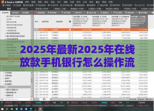 2025年最新2025年在线放款手机银行怎么操作流程，看看这五个62岁能借钱的平台