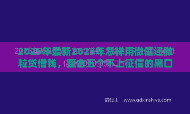 2025年最新2025年怎样用微信还微粒贷借钱，整合五个不上征信的黑口子