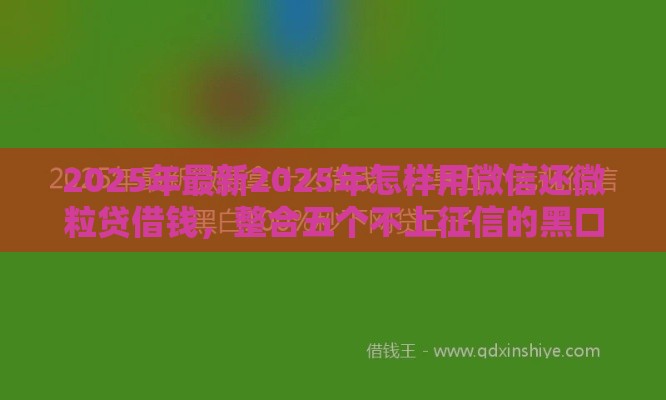 2025年最新2025年怎样用微信还微粒贷借钱，整合五个不上征信的黑口子