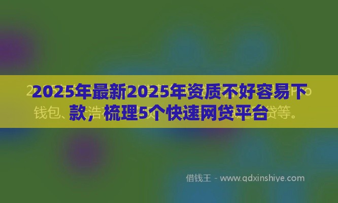2025年最新2025年资质不好容易下款，梳理5个快速网贷平台