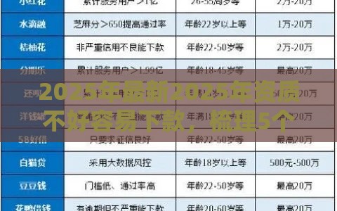 2025年最新2025年资质不好容易下款，梳理5个快速网贷平台