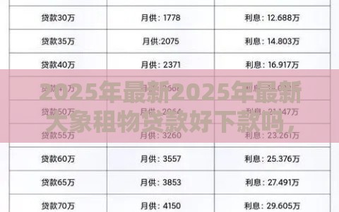 2025年最新2025年最新大象租物贷款好下款吗，试试这五个贷款平台合作