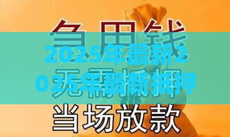 2025年最新2025年最新抵押贷款看不看配偶征信，梳理五个好的贷款平台利息低