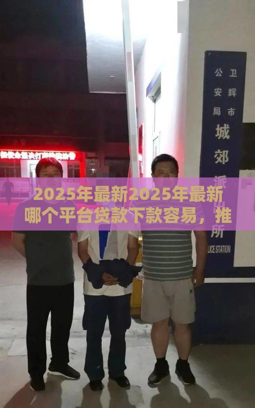 2025年最新2025年最新哪个平台贷款下款容易，推荐5个小微企业网上贷款平台