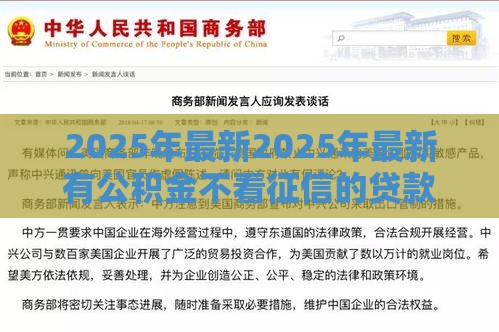 2025年最新2025年最新有公积金不看征信的贷款，试试这5个双黑户必下款的口子2025