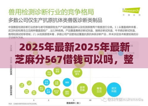 2025年最新2025年最新芝麻分567借钱可以吗，整合5个企业贷款平台好