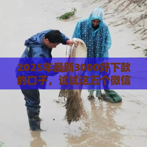 2025年最新3000好下款的口子，试试这五个微信平台怎么借钱