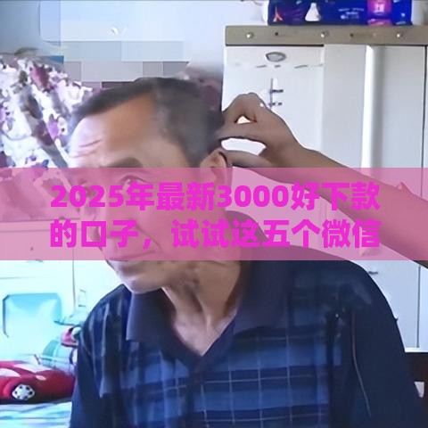 2025年最新3000好下款的口子，试试这五个微信平台怎么借钱