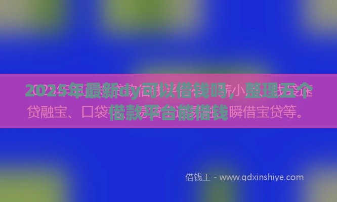2025年最新dy可以借钱吗，整理五个借款平台能借钱