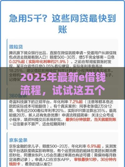 2025年最新e借钱流程，试试这五个51贷款平台