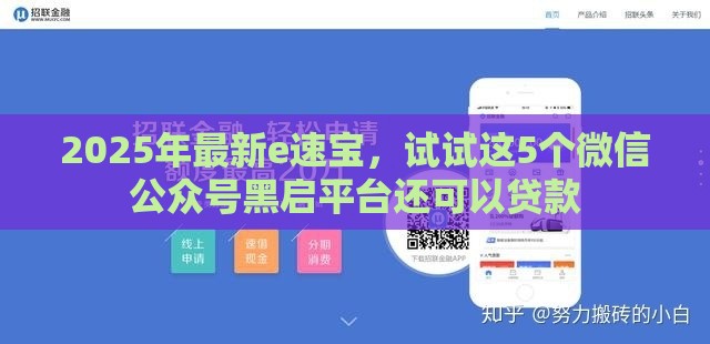 2025年最新e速宝，试试这5个微信公众号黑启平台还可以贷款