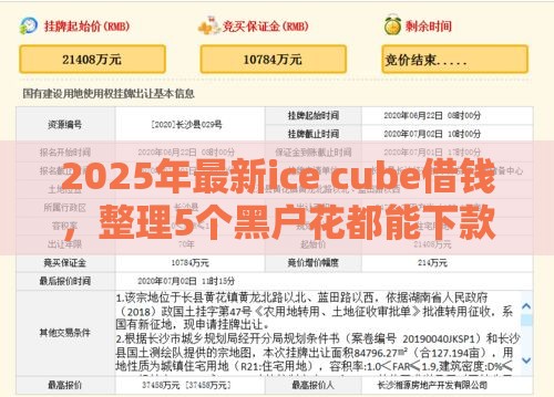 2025年最新ice cube借钱，整理5个黑户花都能下款的平台啊