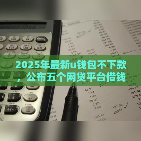2025年最新u钱包不下款，公布五个网贷平台借钱不查征信