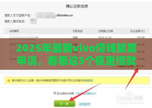 2025年最新vivo借钱额度申请，看看这5个夜里借款平台好下款