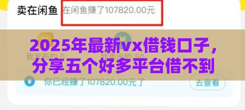 2025年最新vx借钱口子，分享五个好多平台借不到钱了该去哪借钱