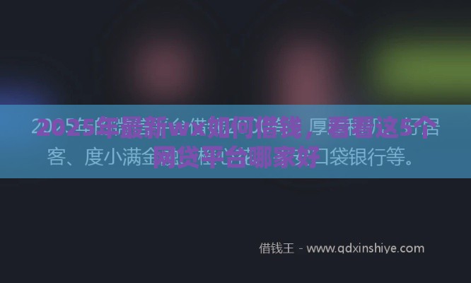 2025年最新wx如何借钱，看看这5个网贷平台哪家好