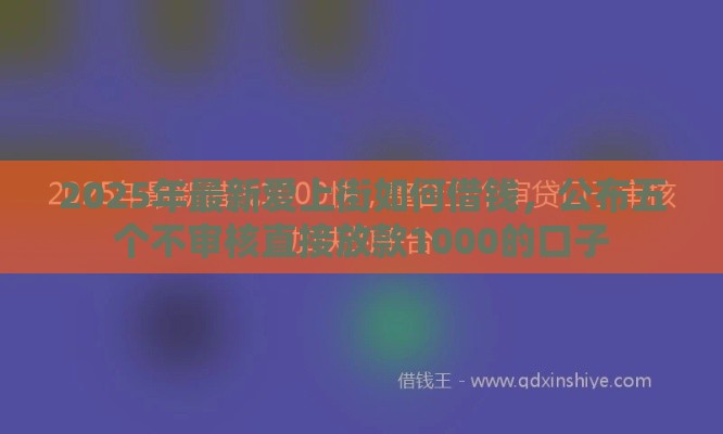 2025年最新爱上街如何借钱，公布五个不审核直接放款1000的口子