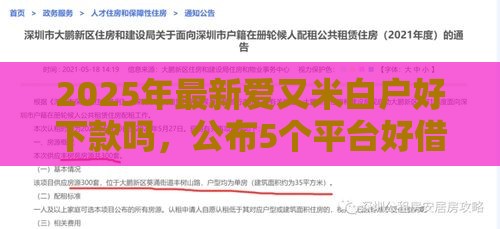 2025年最新爱又米白户好下款吗，公布5个平台好借钱