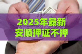 2025年最新安顺押证不押车不看征信，梳理5个口子大全