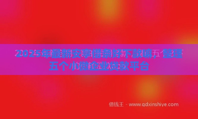 2025年最新安享借条好下款嘛，整理五个小微企业贷款平台