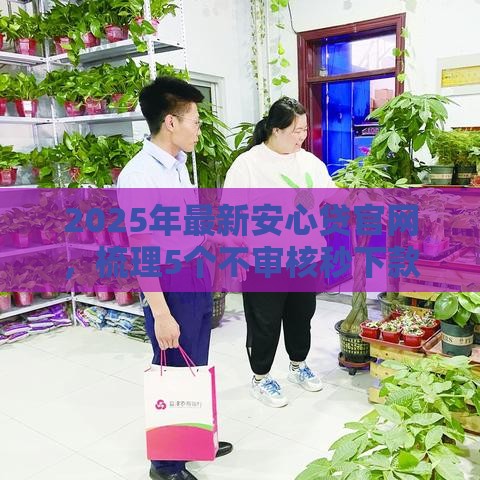 2025年最新安心贷官网，梳理5个不审核秒下款的高炮口子