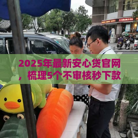 2025年最新安心贷官网，梳理5个不审核秒下款的高炮口子