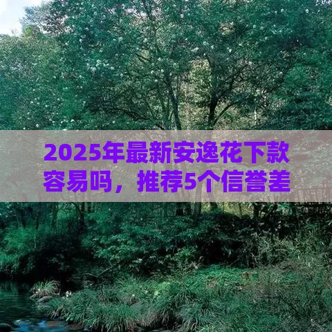 2025年最新安逸花下款容易吗，推荐5个信誉差秒通过借款平台