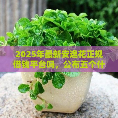 2025年最新安逸花正规借钱平台吗，公布五个什么贷款平台比较靠谱