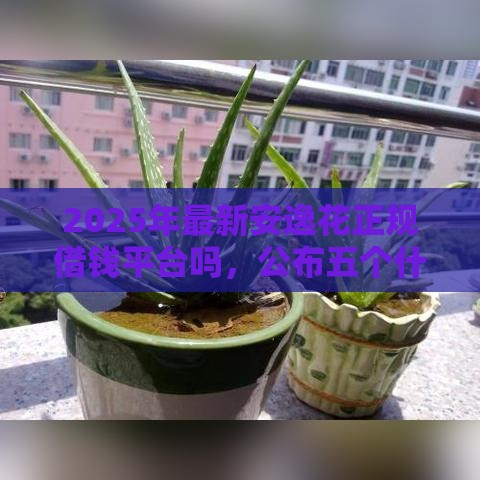 2025年最新安逸花正规借钱平台吗，公布五个什么贷款平台比较靠谱