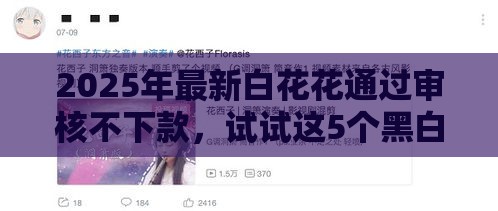 2025年最新白花花通过审核不下款，试试这5个黑白花户必过的贷款平台