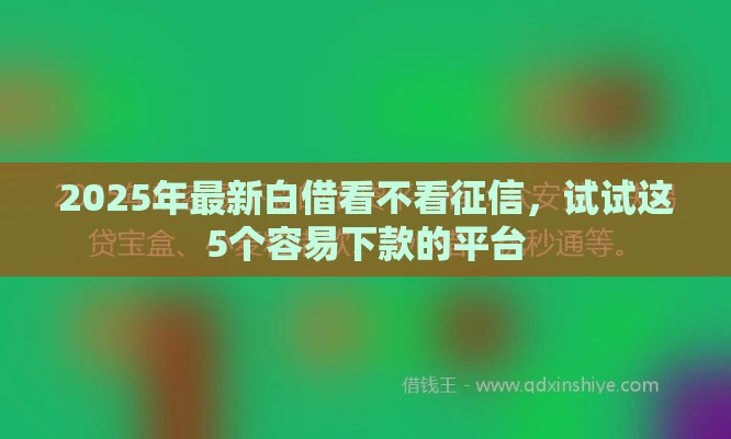 2025年最新白借看不看征信，试试这5个容易下款的平台
