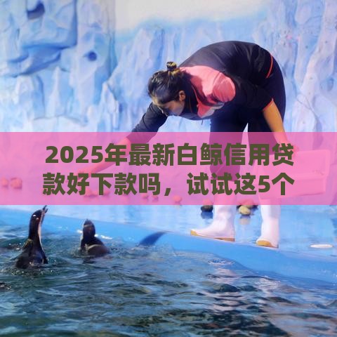 2025年最新白鲸信用贷款好下款吗，试试这5个畅享花贷款平台怎么样
