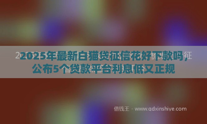 2025年最新白猫贷征信花好下款吗，公布5个贷款平台利息低又正规