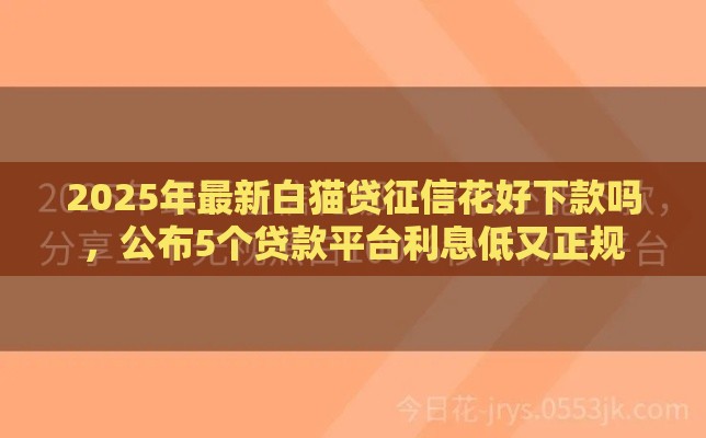 2025年最新白猫贷征信花好下款吗，公布5个贷款平台利息低又正规