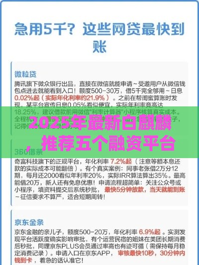 2025年最新白麒麟，推荐五个融资平台贷款