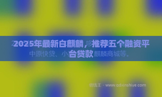 2025年最新白麒麟，推荐五个融资平台贷款