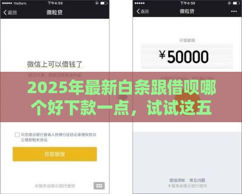2025年最新白条跟借呗哪个好下款一点，试试这五个黑户信用评分不足能下款的软件