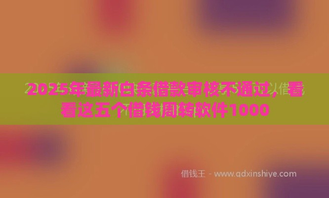 2025年最新白条借款审核不通过，看看这五个借钱周转软件1000