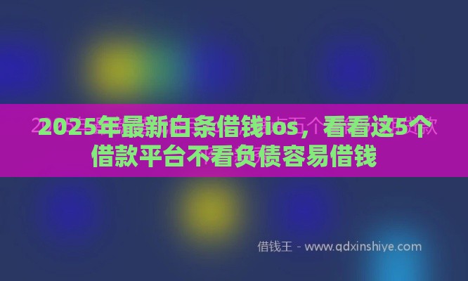 2025年最新白条借钱ios，看看这5个借款平台不看负债容易借钱