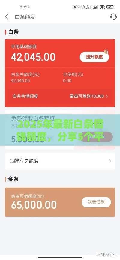 2025年最新白条借钱额度，分享5个平台借钱还不起怎么办